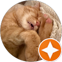 D. Vienna profile picture