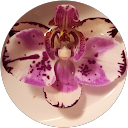 Emma Silgoner profile picture